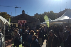 FeriaDelAceiteJaen_Carpas1_Banderolas_TV_Kolors2017