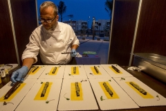 FERIA DE LA TAPA MOTRIL