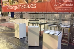 SaborGranadaHTMalaga2018_Vitrina_Kolors