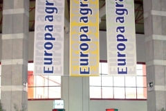 banderolas-seda-960x600