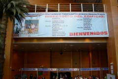 Acreditaciones-y-pancarta-Palacio2-960x600