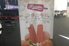 IIEncuentroJuncaril-Asegra_RollUp_Palettas IIEncuentroJuncaril-Asegra_RollUp_Palettas