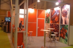 stand-maxima-960x600