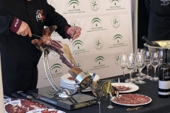 IMG_7047-e1529484222676