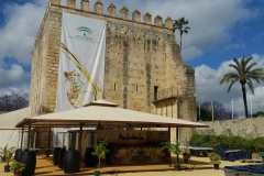 WhatsApp-Image-2018-06-02-at-10.49.59-1